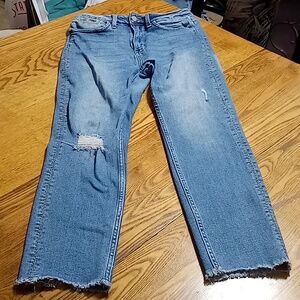 JUDY BLUE Jeans Womens 9 / 29 HOWDY Denim Preowned Distressed Ripped Holes